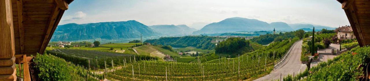 Gfillhof Ferienwohnung 1 Appiano Sulla Strada Del Vino Εξωτερικό φωτογραφία