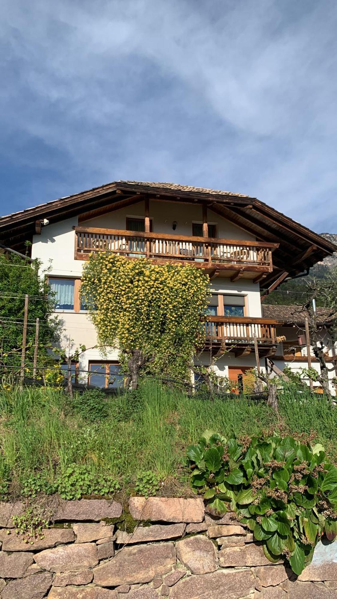 Gfillhof Ferienwohnung 1 Appiano Sulla Strada Del Vino Εξωτερικό φωτογραφία