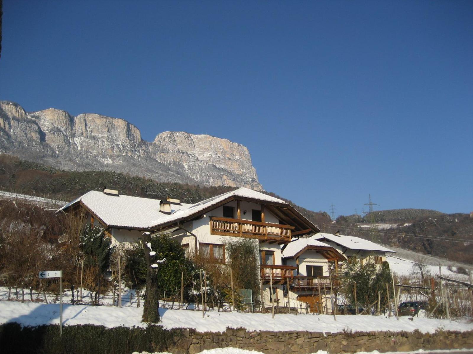 Gfillhof Ferienwohnung 1 Appiano Sulla Strada Del Vino Εξωτερικό φωτογραφία